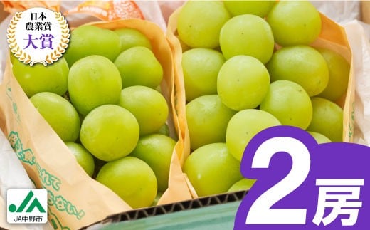 ＜2025年発送＞シャインマスカット2房1kg以上　JA中野市から直送【1272457】