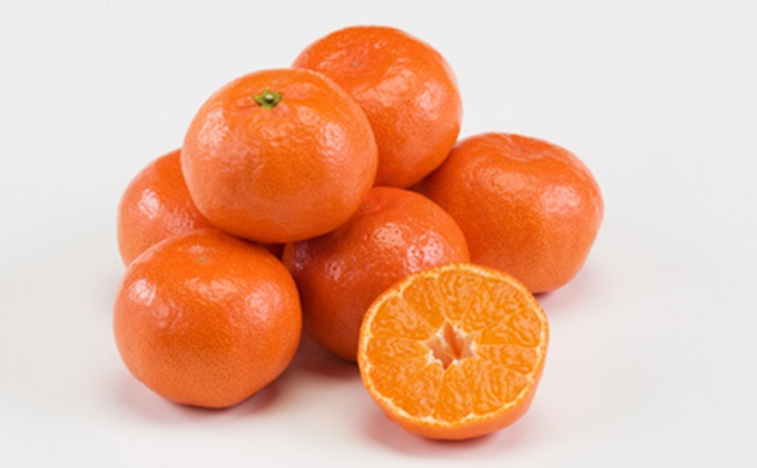 みかん 香川県オリジナル品種 小原紅早生みかん 金時紅 2.5kg オリジナル 早生みかん 蜜柑 ミカン 柑橘系 柑橘類 フルーツ 果物 くだもの 果実 旬の果物 旬のフルーツ 香川 香川県 東かがわ市