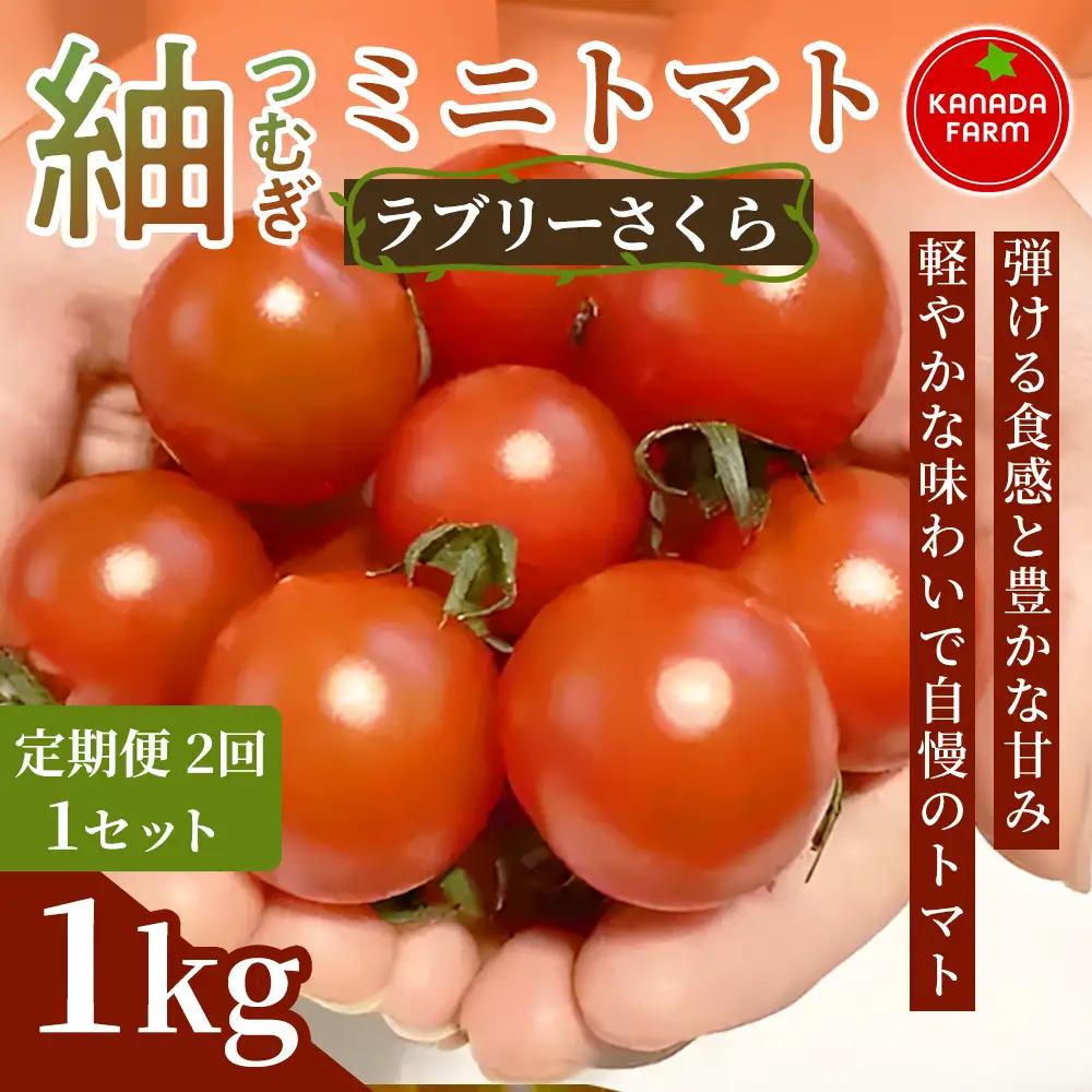 《先行予約》【定期便2ヶ月】紬（つむぎ）ミニトマト（ラブリーさくら）　1kg 定期便 弾ける食感と豊かな甘み 新鮮野菜 フルーツ 旬 サラダ デザート お弁当 朝食 料理用 そのまま食べる おうちごはん お取り寄せ 産地直送 贈り物 手土産 愛知県 豊橋市