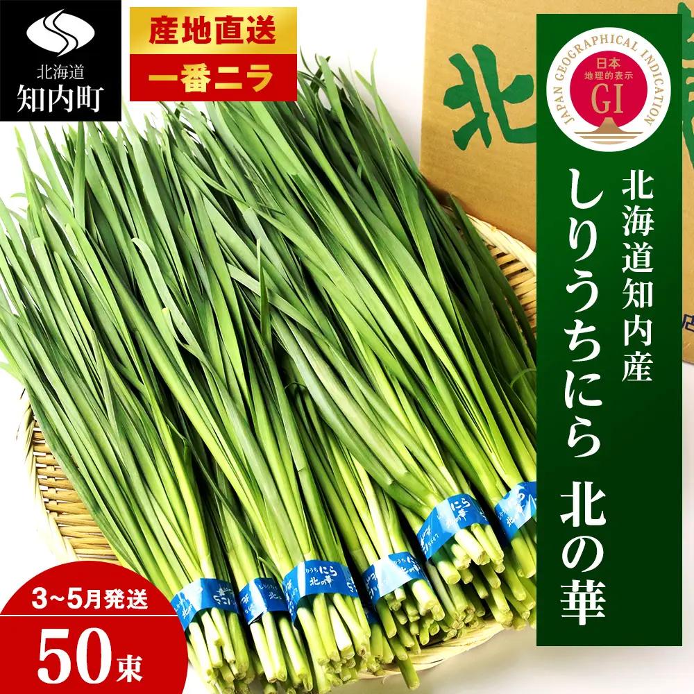 【2027年発送予約】 しりうちにら北の華 50束【JA新はこだて】