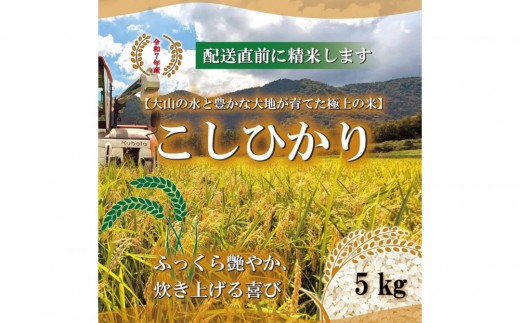 
                  令和7年 鳥取県産 山崎農園こしひかり 5kg
                