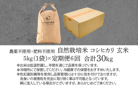 【先行予約】【令和7年産 新米】【定期便6回】 伊与衛門農園の自然栽培コシヒカリ玄米 5kg×6回  伊与衛門農園の特別栽培米＜温度と湿度を常時管理し新鮮米を出荷！＞/ 米 自然の力 高品質 鮮度抜群