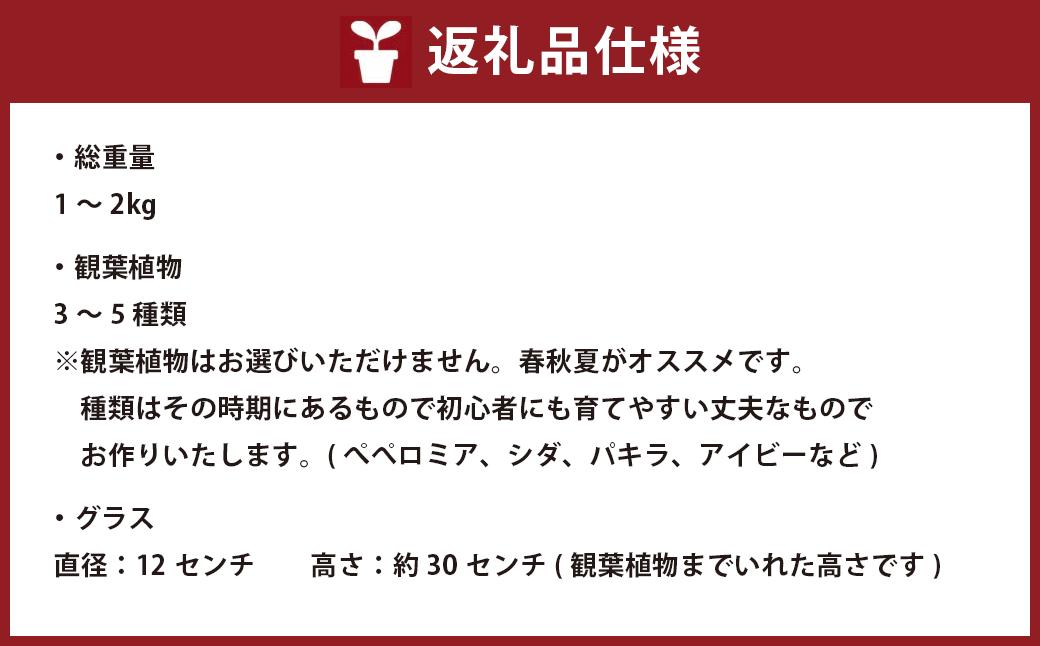 【観葉植物】カラ―サンドアート(青緑系/爽やかな雰囲気)おまかせ模様 寄せ植え