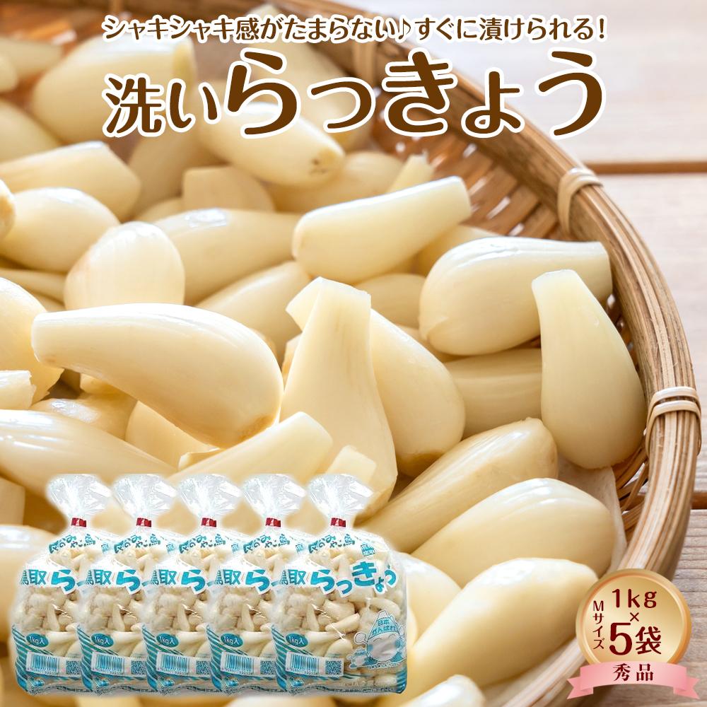 【ふるさと納税】746.【先行予約】【JA】洗いらっきょう　秀M・1kg×5袋　※着日指定不可　※離島への配送不可　※2026年5月中旬頃～6月中旬頃に順次発送予定 | らっきょう ラッキョウ らっきょう漬け ラッキョウ漬け 先行予約 野菜 健康 健康食品 新鮮