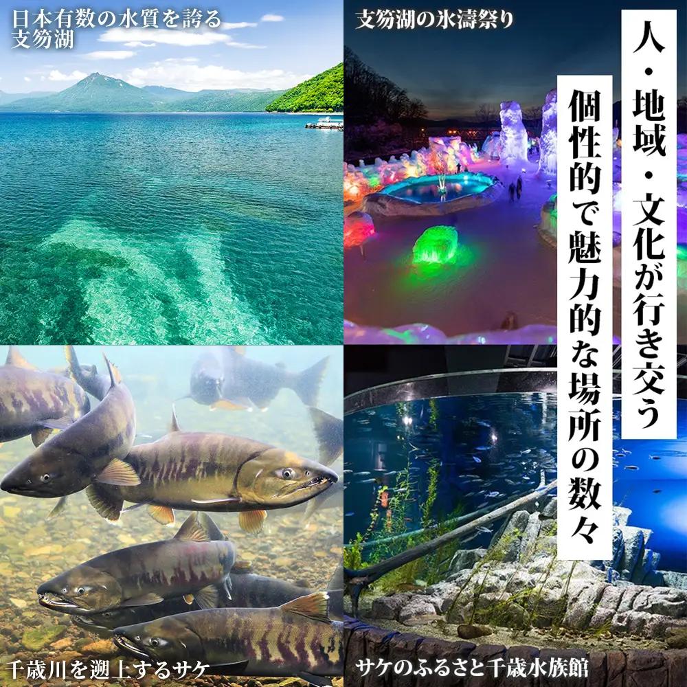 北海道 千歳市 旅行クーポン 150,000円分