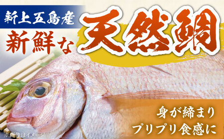 海鮮漬け丼80g×10食セット 魚 海鮮 お茶漬け[RBV001]海鮮漬け 海鮮漬け 海鮮漬け 海鮮漬け 海鮮漬け 海鮮漬け 海鮮丼 海鮮丼 海鮮丼 海鮮丼