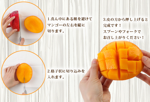 【2024年発送】徳之島 天城町産 完全無加温 完熟 マンゴー 家庭用 1kg