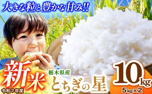 【先行予約】とちぎの星 5kg×2 (10kg)  | 新米 真岡市産 こしひかり コシヒカリ とちぎの星 銘柄 お米 米 おにぎり おむすび  ふるさと納税 先行 予約 栃木県 真岡市 送料無料