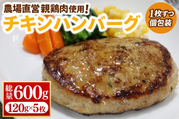 
【浅沼養鶏場】チキンハンバーグ 約120g×5枚 (約600g) 農場直営親鶏肉使用 (AJ017)
