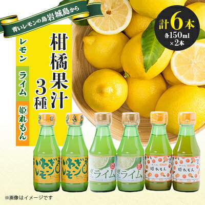 【ふるさと納税】果汁3種(レモン・ライム・姫レモン)セットA　計6本【1123666】