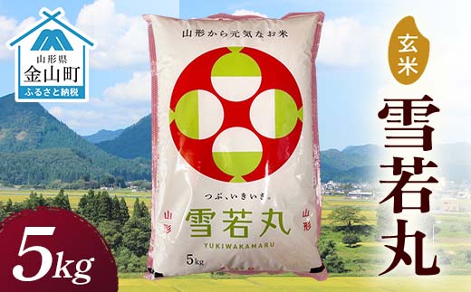 
                  令和7年産 金山産米 雪若丸 【玄米】5kg 米 お米 ご飯 玄米 ブランド米 送料無料 東北 山形 金山町 F4B-0789
                