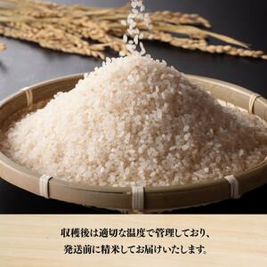 【令和7年産】永友農園産「こしひかり」15kg(5kg×3)【 米 お米 白米 精米 国産 宮崎県産 コシヒカリ 】