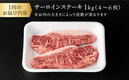 【12回定期便】 【赤身本来のコクと旨味！】 九州産黒毛和牛 サーロインステーキ 1kg（4～6枚） ＜宮本畜産＞[CFA036]
