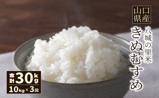 【先行予約】【定期便 3ヶ月】きぬむすめ 精米 10kg  合計30kg 令和7年度米