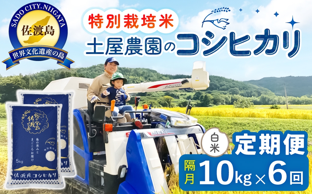 
                  【定期便 令和8年産新米 全6回】 佐渡島産コシヒカリ 白米 10kg 令和8年産新米 特別栽培米 土屋農園 | 新潟県産コシヒカリ 新潟産コシヒカリ 佐渡産コシヒカリ 新潟県産こしひかり 佐渡産こしひかり お米 米 こしひかり 白米 精米 おこめ コメ 10キロ にいがた さど 新潟県 佐渡市
                