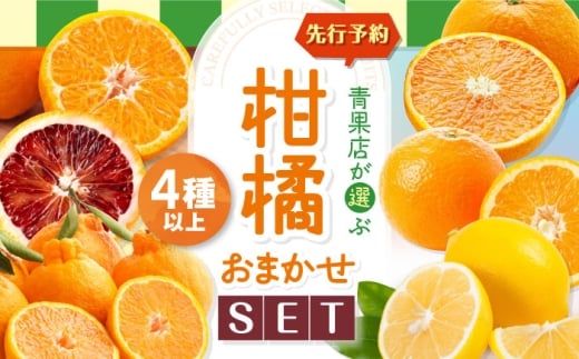 柑橘おまかせセット【先行予約】【3月上旬発送】愛媛県大洲市/沢井青果有限会社 [AGBN053] 柑橘セット みかん 愛媛みかん mikan ミカン 果物セット 食べ比べ 果物 旬 季節 伊予柑 清見 不知火 ブラッドオレンジ ぽんかん・レモン フルーツ 柑橘 人気 おすすめ 産地直送 旬の果物セット 厳選 ビタミン 季節の味覚 お取り寄せフルーツ