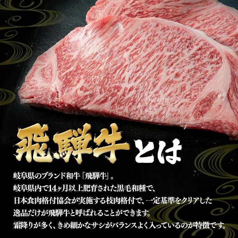 飛騨牛 A5～4等級 大焼肉ステーキ 1.0kg (A01-013)