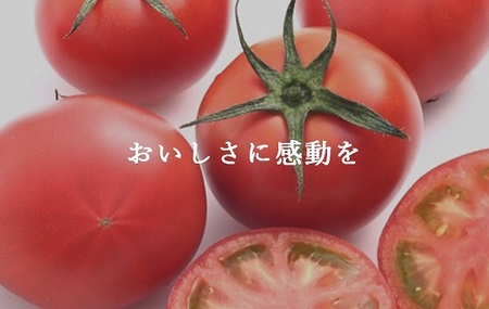 アメーラトマト 高糖度 トマト アメーラ