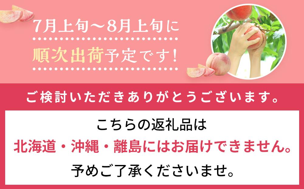 桃 2024年 先行予約 清水 白桃 6～8玉入 約2.0kg 岡山市一宮地区産 もも モモ フルーツ 果物 ギフト