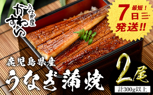 【7営業日以内に発送！】＜うなぎ屋かわすい＞鹿児島県産 国産うなぎ蒲焼 (計300g以上 / 1本あたり150～169g×2本) タレ入り 鰻 うな重 かばやき【川口水産】A854