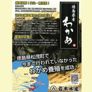 開華丸の漁師が試行錯誤を繰り返しこだわった徳島県産わかめ （250g×3袋） 