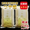 【ふるさと納税】【毎月定期便】宮城県村田町産つや姫　精米10kg(5kg×2)全6回【4057692】