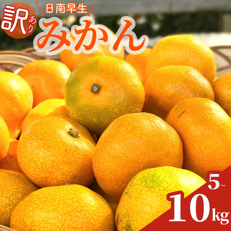 【ふるさと納税】 訳あり 早生みかん 約 5kg 10kg 訳あり 日南早生 わせ みかん 先行予約 2026年 10月 中旬 から 発送 ミカン 蜜柑 柑橘 果物 フルーツ 数量限定 果汁 果実 農家 直送 ギフト 贈答 美味しい 不揃い わけ あり 国産 安心 minorien 牧之原市 静岡県