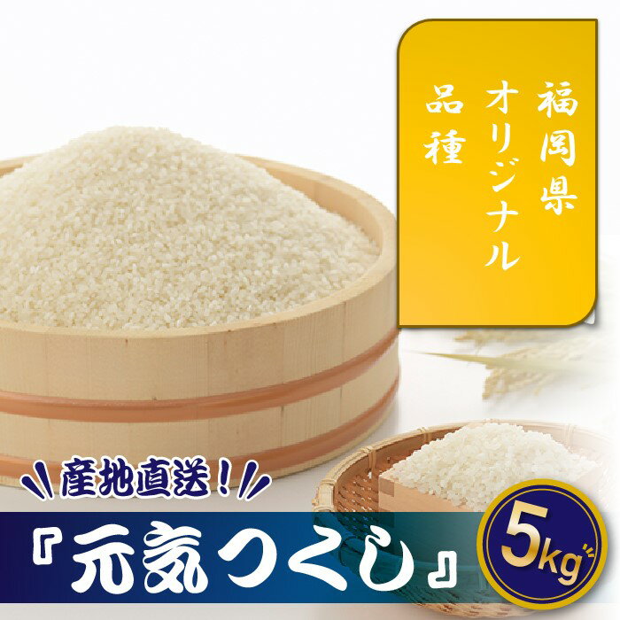 【ふるさと納税】特Aも獲得した自慢のお米『元気つくし』5kg 国産 白米 精米 ご飯【元気つくし】.AD136