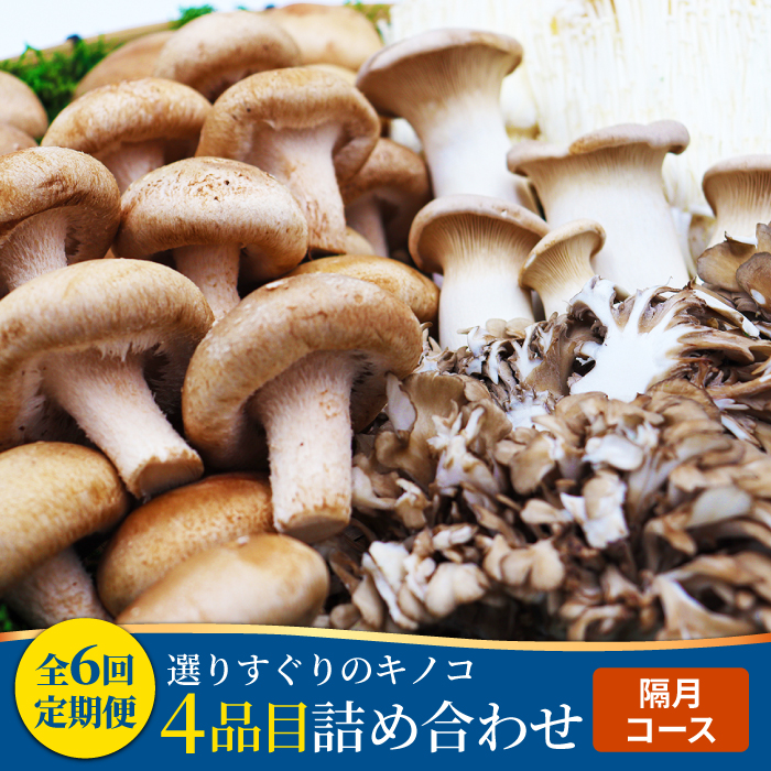 【6回定期便隔月】厳選きのこセット 4品目 詰め合わせ 特選キノコ / きのこ セット 南島原市 / 吉岡青果 [SCZ017]_イメージ1
