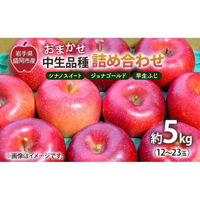 【10月から発送】 りんご 盛岡から「農で人をつなぐ」藤与果樹園：おまかせ中生品種詰め合わせ（ シナノスイート ジョナゴールド 早生ふじ ）約5kg 12～23玉 玉数指定不可 詰め合わせ 岩手 盛岡