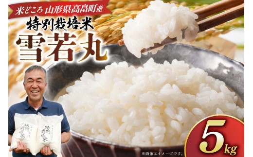 米 令和8年度産 特別栽培米 雪若丸 5kg [渡部ファーム 山形県 高畠町 tk06ays810028] お米 白米 精米 ごはん ご飯 ブランド米