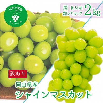 岡山　花笑み農園の『訳ありシャインマスカット』2kg　WS-2【2025年9月下旬～順次発送】【配送不可地域：離島・北海道・沖縄県】