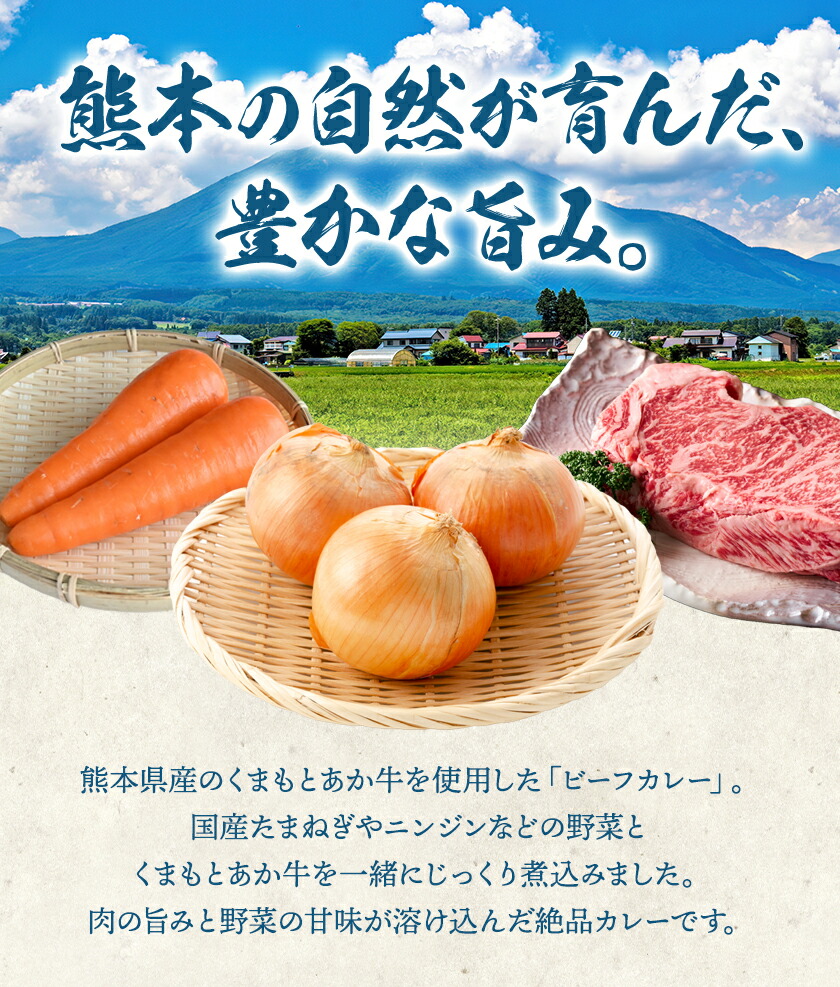 熊本県産あか牛使用 くまもとあか牛 ビーフカレー 4袋 1袋160g レトルト カレー パック 常備食 長期保存 送料無料《30日以内に出荷予定(土日祝除く)》---022-5003---