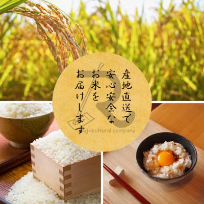 ふるさと納税 南丹市 【2025年11月以降順次発送】 令和7年産 新米予約 キヌヒカリ 10kg 京都丹波産 |  | 02