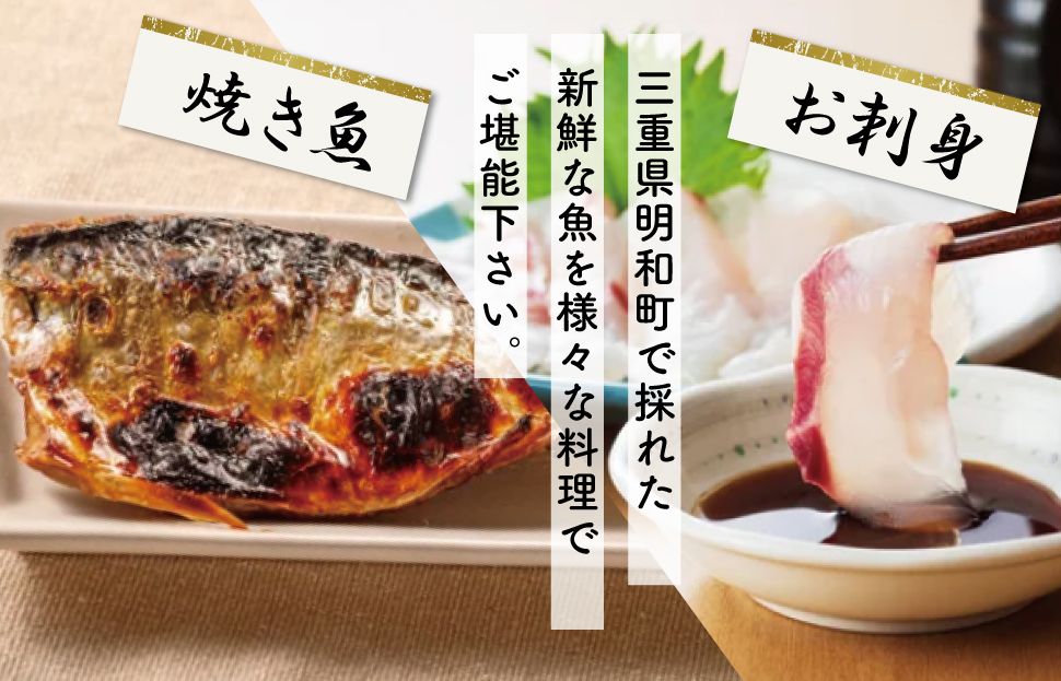 伊勢湾産 海産物セット 魚 貝 干物 海藻 新鮮 詰め合わせ セット 海鮮 海産 直送 海 漁師 おまかせ 旬 季節 お楽しみ K5