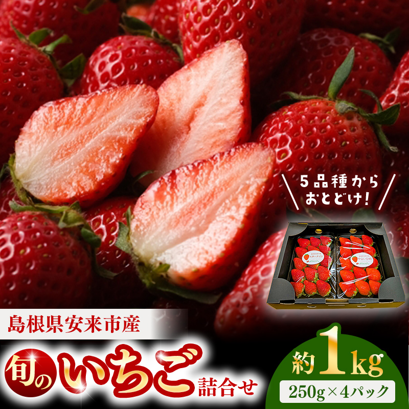 【先行予約】農場長厳選の美味しいいちご 1000g【250g×4パック 苺 詰め合わせ 厳選 フルーツ 果物 かおり野 紅ほっぺ よつぼし スターナイト すず 甘味 セット 化粧箱 島根県 安来市 安来市産】
