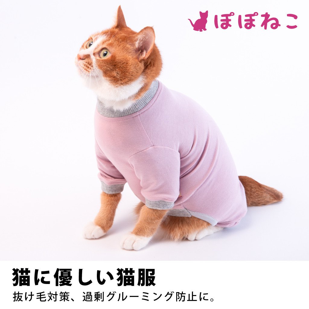 ぽぽねこ ギフト券 15,000円分 （Eメールタイプ）