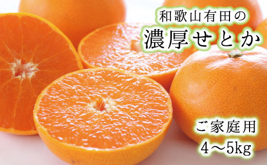 和歌山有田の濃厚せとか　約4～5kg(ご家庭用)　※2027年2月中旬～3月中旬頃に順次発送予定【ard008A】