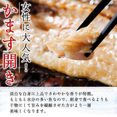 ふるさと納税 佐伯市 ギフト用品質!九州産ひものかます開き(10尾) |  | 01