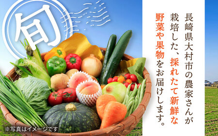 野菜定期便 3回 大村産野菜 果物  [ACAA164]