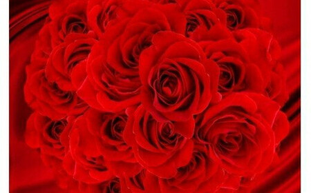 真紅のバラ60本【 バラ 薔薇 フラワー 】