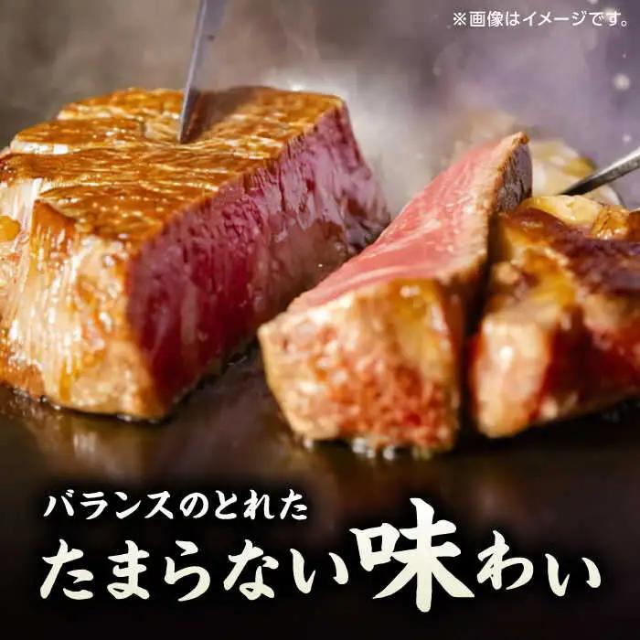 【12回定期便】くまもと黒毛和牛 ステーキ食べ比べ ヒレステーキ×4枚 サーロインステーキ×4枚【馬刺しの郷 民守】熊本 霜降り ヒレ サーロイン ステーキセット [ZBL115]