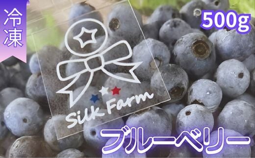 シルクファーム産　冷凍ブルーベリー500g（500g×1パック）