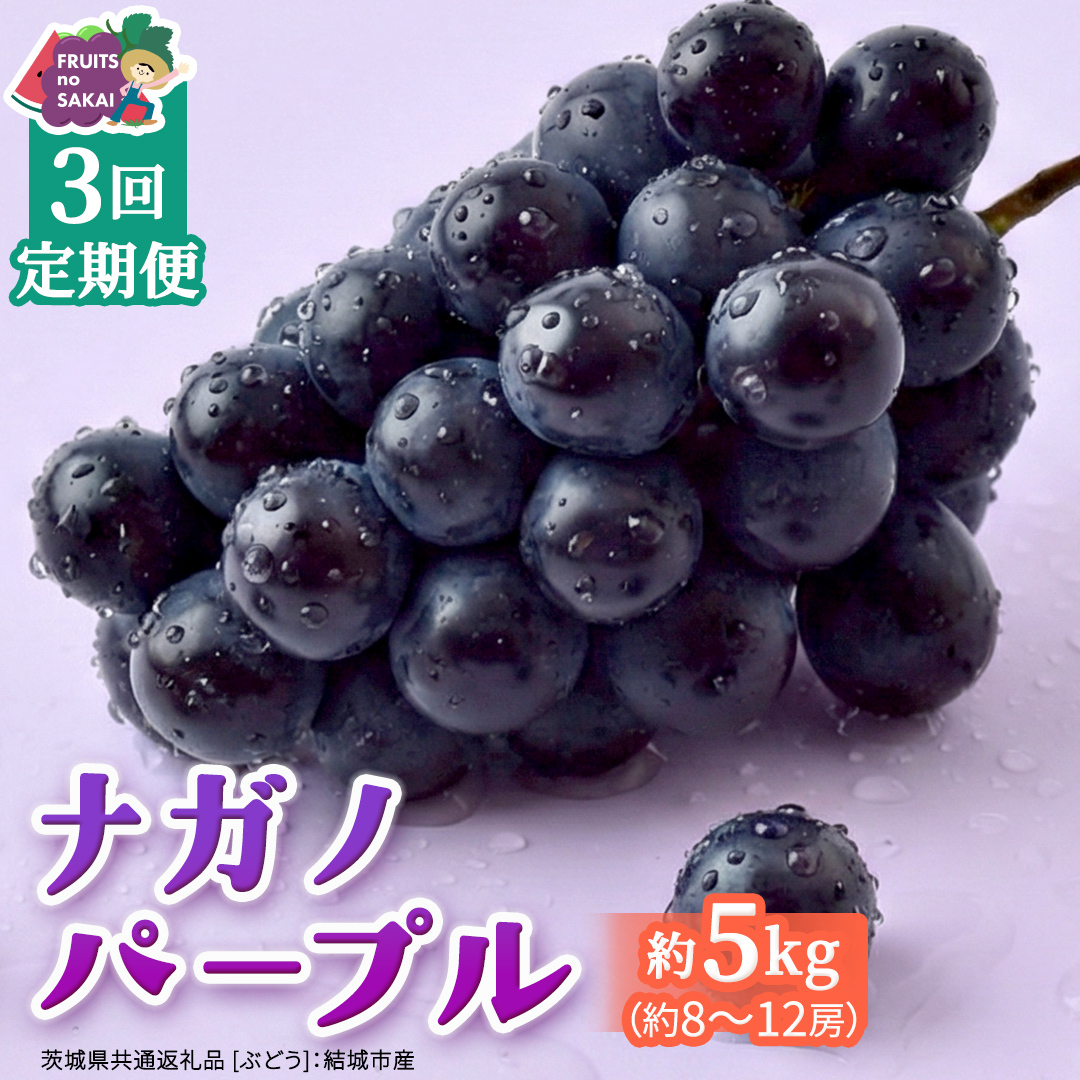 【定期便】3か月連続でお届け！ナガノパープル 約5kg （約8～12房）【2026年8月より発送開始】（茨城県共通返礼品 [ぶどう]：結城市産） ぶどう ブドウ 葡萄 ナガノパープル 種なし 皮ごと 