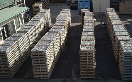 国産煮干し お試し200g×2袋セット 大和水産 国産 岩手県 三陸山田 山田町 味噌汁 みそ汁 子ども かたくちいわし まいわし イワシ いわし 鰯 出汁 おつまみ おやつ YD-516