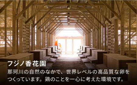 【TVで紹介！】【鮮度ＡＡ級の世界最高ランク！】金太郎卵 平飼い たまご 30個（6個×5パック）＜有限会社 フジノ香花園＞那珂川市 卵  たまご 平飼い 卵かけご飯 12000 12000円 [GA