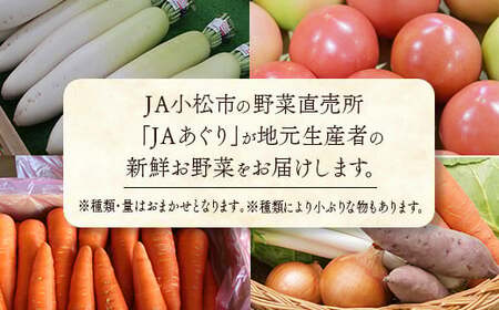 《JA小松市（毎月） 定期便６ヶ月》季節の野菜詰合せ） 060018