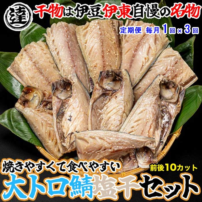 W03【ふるさと納税】【定期便 全3回】伊豆・伊東 丸達水産 天然しおさば10切セット 食べやすいハーフカット 毎月1回×3回