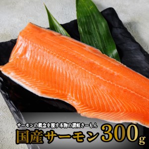 サーモン 冷凍 切り身 300g 生食用 産地直送 小分け【サーモン サーモン サーモン サーモン サーモン サーモン サーモン サーモン サーモン サーモン サーモン サーモン サーモン サーモン サーモン サーモン サーモン サーモン サーモン サーモン サーモン サーモン サーモン サーモン サーモン サーモン サーモン サーモン サーモン サーモン サーモン サーモン サーモン サーモン サーモン 】 