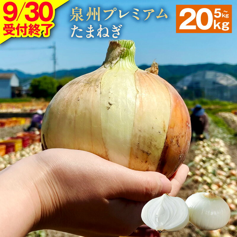 【ふるさと納税】【9月30日受付終了】 プレミアムたまねぎ 選べる容量 5kg / 10kg / 20kg 国産 新たまねぎ 産地直送 新鮮 生食 肉厚 やさしい 甘み 辛味が少ない 玉ねぎ 野菜 射手矢農園 泉州たまねぎ オニオン スライス サラダ カレー 大阪府 泉佐野市 送料無料